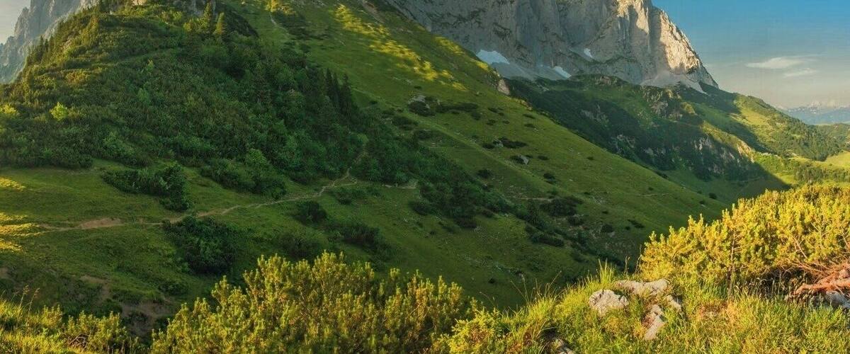 July 2015
Wilder Kaiser mountains, North Tyrolia, Austria
View of the main range of Wilder Kaiser mountains. They belong to the Northeastern Limestone Alps and rise up to 2.400 meters of height. You can either climb the jagged peaks or you can hike just below their white walls. The traditional hike route is called the Adlerweg (=Eagle's path) and its part in Wilder Kaiser from St. Johann to Kufstein takes an easy although distance-wise longer 3-day hike.
The meadows slope is called the Baumgartenalm and in the view from Baumgartenkreuz 1.572 m you can see from left to right the summits of Regalpspitze (2.253 m), Ackerlspitze (2.329 m) and Maukspitze (2.231 m).