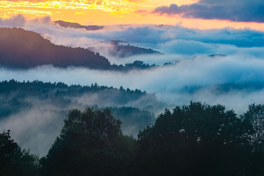 A mountainous landscape with dense forests and a layer of fog or mist.