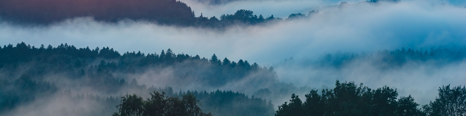 A mountainous landscape with dense forests and a layer of fog or mist.