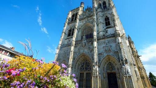 Abbeville