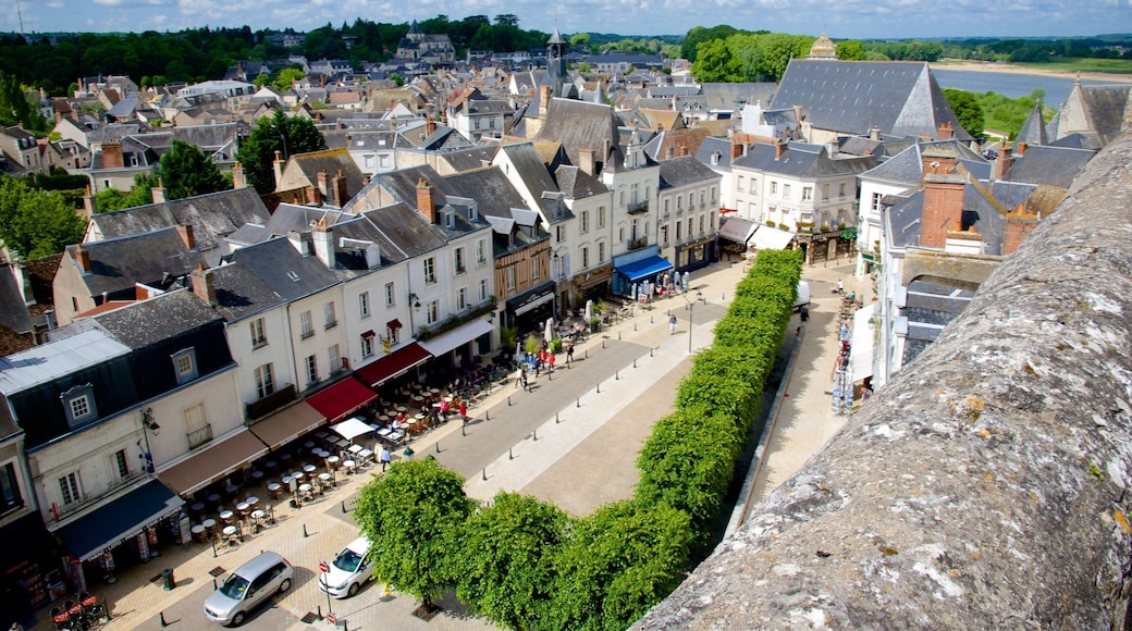 Amboise mostrando un pueblo