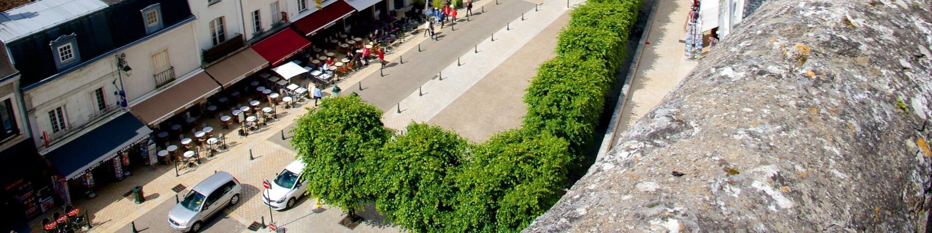 Amboise showing a small town or village