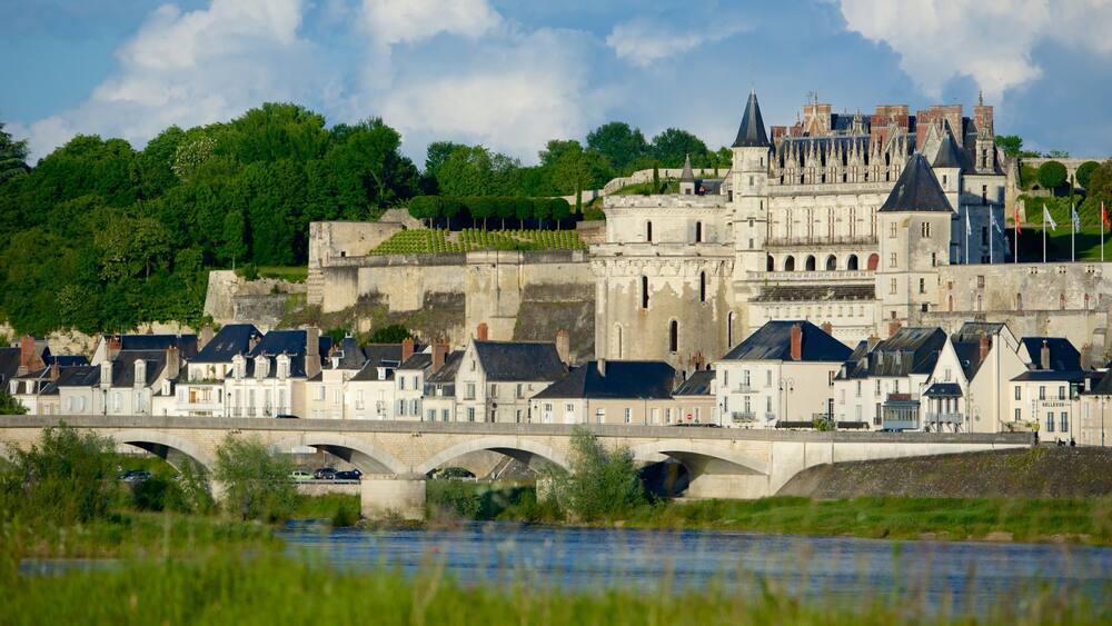 Amboise which includes a city and heritage architecture