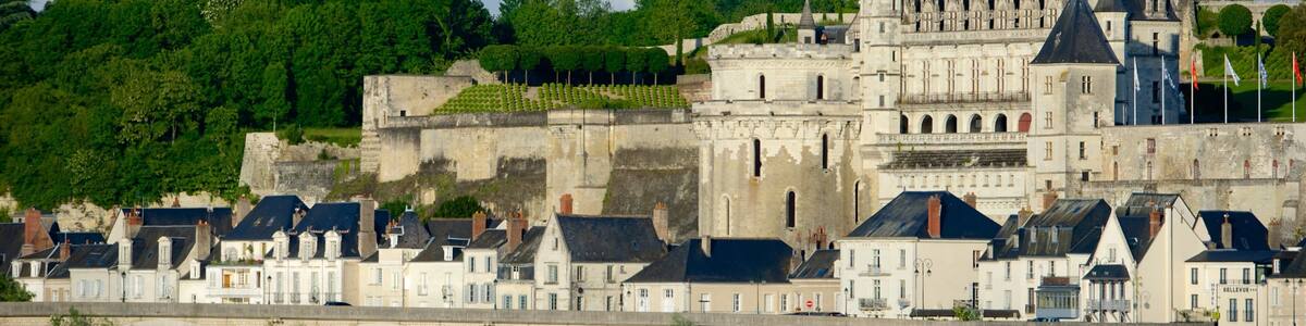 Amboise which includes a city and heritage architecture