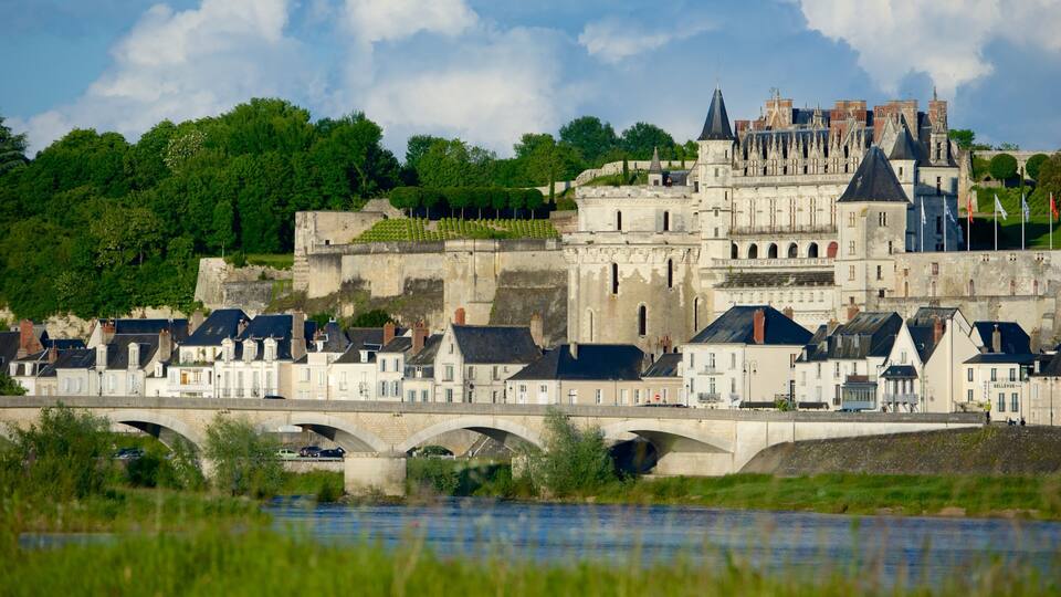 A historic castle with a bridge over a river, surrounded by lush greenery and traditional buildings.