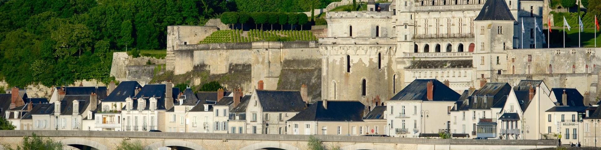 Amboise which includes a city and heritage architecture
