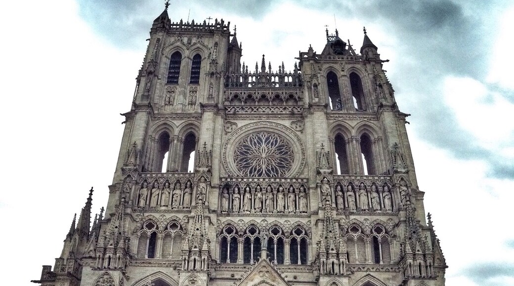I'm going to get a sore neck in France. These cathedrals draw the eye up, and up, and up. This one in particular.