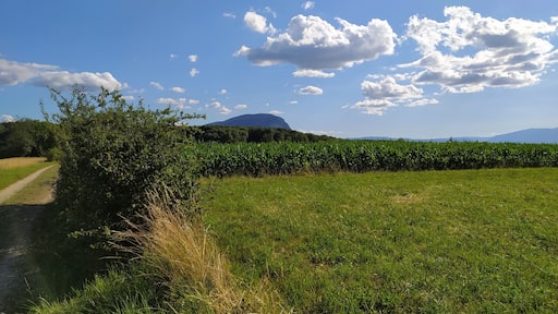 Le Salève vue de la frontière entre France et Suisse, entre Juvisy (Annemasse) et Moniaz