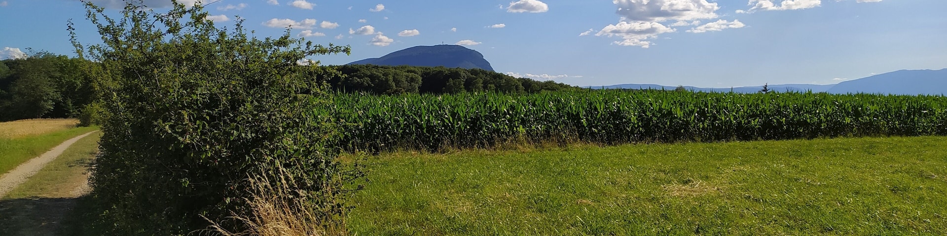 Le Salève vue de la frontière entre France et Suisse, entre Juvisy (Annemasse) et Moniaz