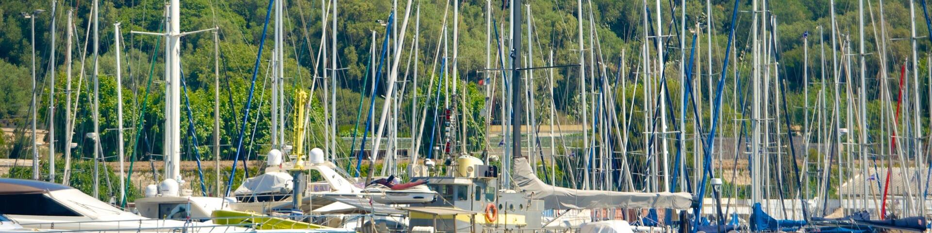 A historic castle on a hill with a marina full of sailboats below.