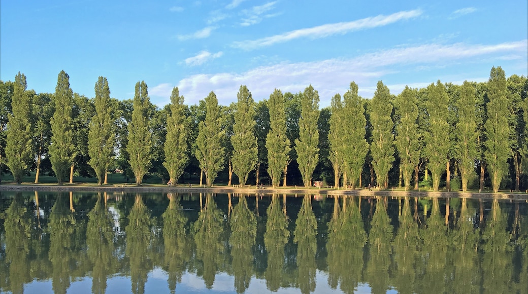 Photo iphone 6S Le Domaine de Sceaux appartient au conseil départemental des Hauts-de-Seine domaine-de-sceaux.hauts-de-seine.fr/
