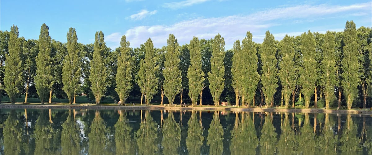 Photo iphone 6S Le Domaine de Sceaux appartient au conseil départemental des Hauts-de-Seine domaine-de-sceaux.hauts-de-seine.fr/