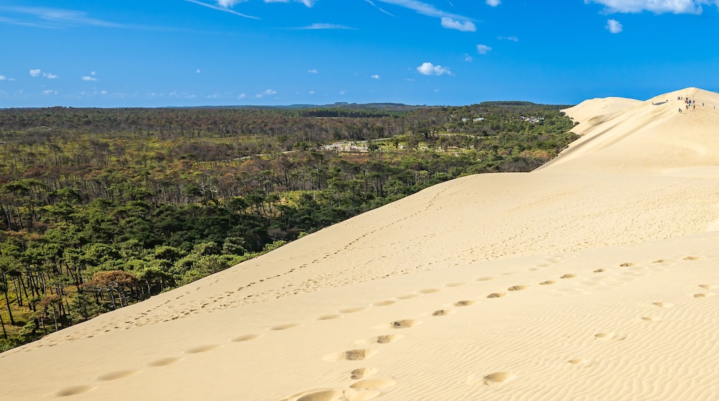 Panorama on the Dune du Pilat on a summer day in La Teste-de-Buch, France