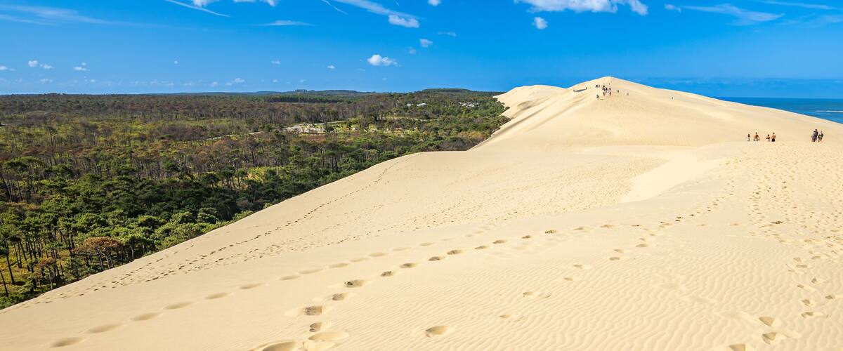 A large sand dune with footprints, a forested area, and a beach in the background.