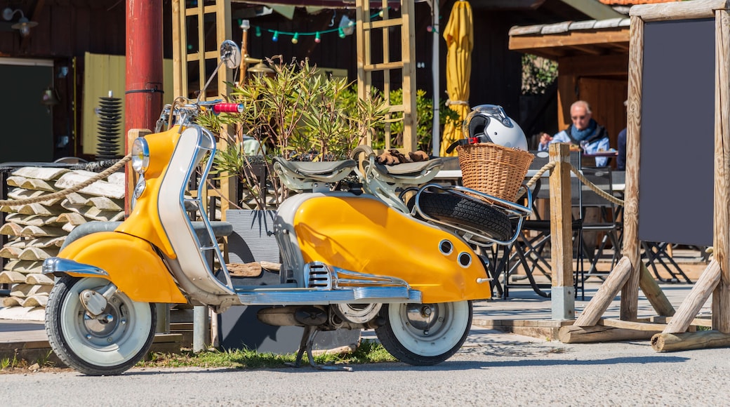 BASSIN D'ARCACHON (France), la dolce vita sur le port de Gujan Mestras