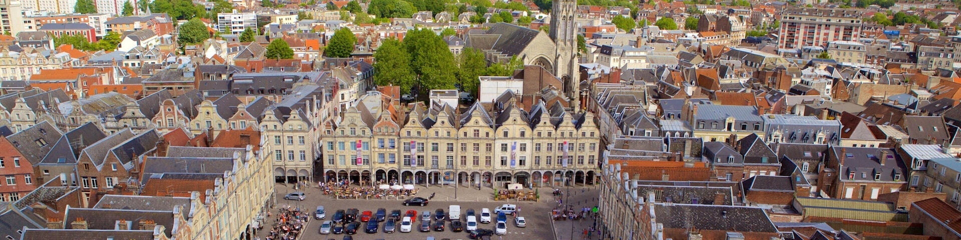 Arras showing a square or plaza and a city