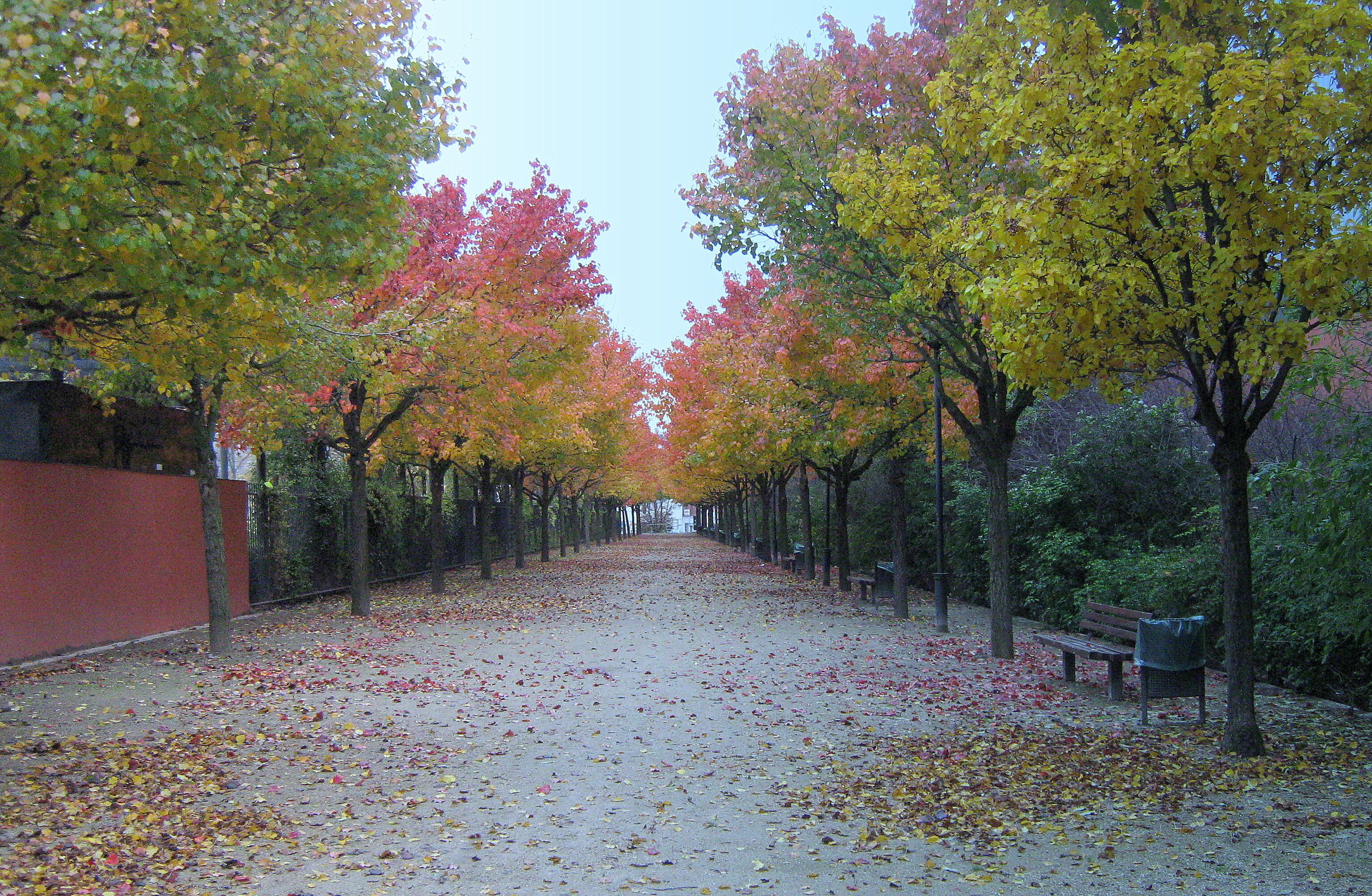 аллея в Обервилье