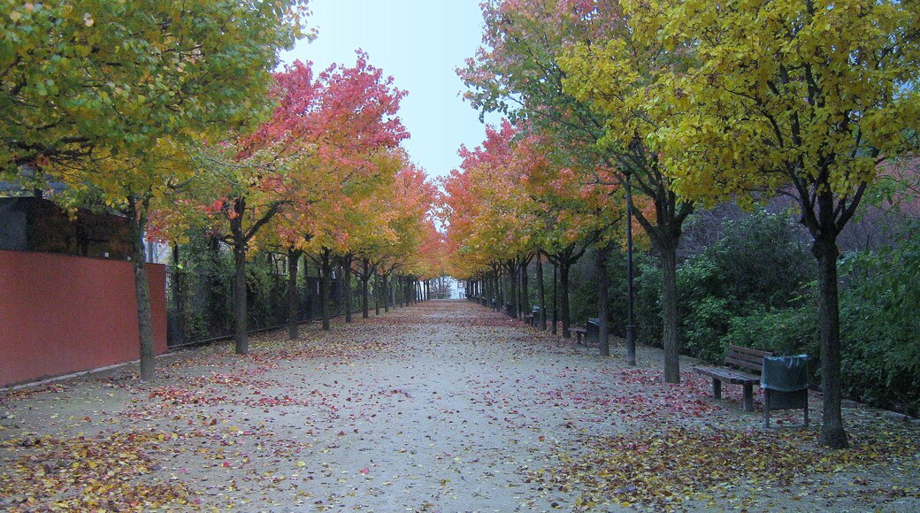 аллея в Обервилье