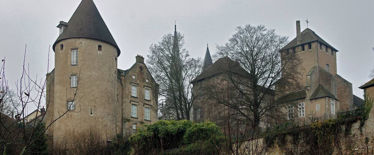 A historic castle with multiple towers and a surrounding grassy area with trees.