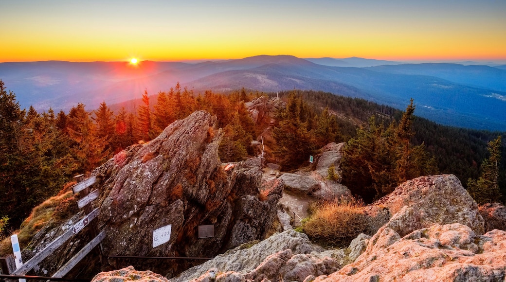 Sunrise, Grosser Osser near Lam, Kunisches Gebirge, Bavarian Forest, Upper Palatinate, Bavaria, Germany, Europe