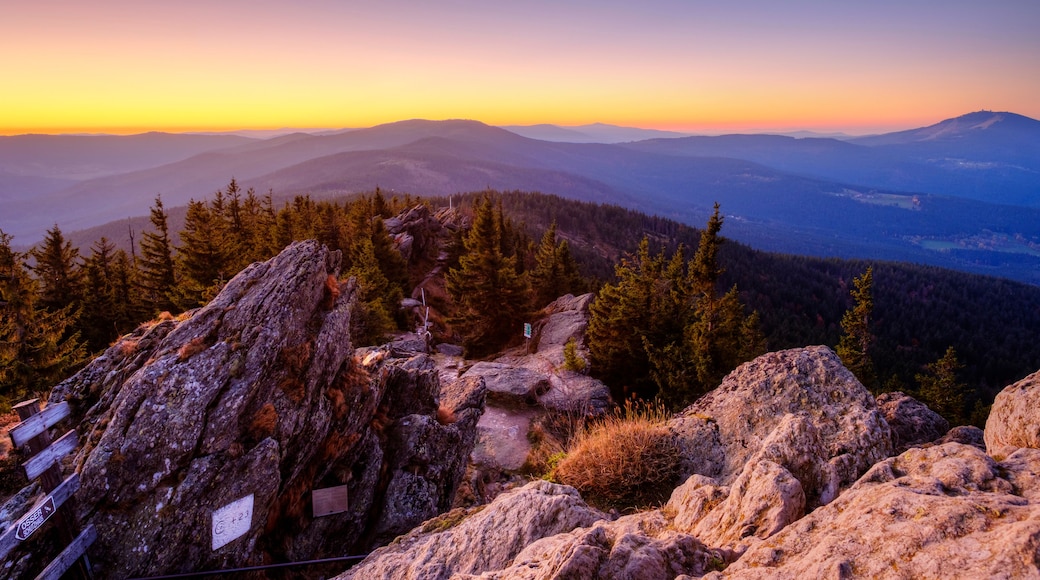 Paisaje montañoso con densos bosques y terreno rocoso al atardecer.