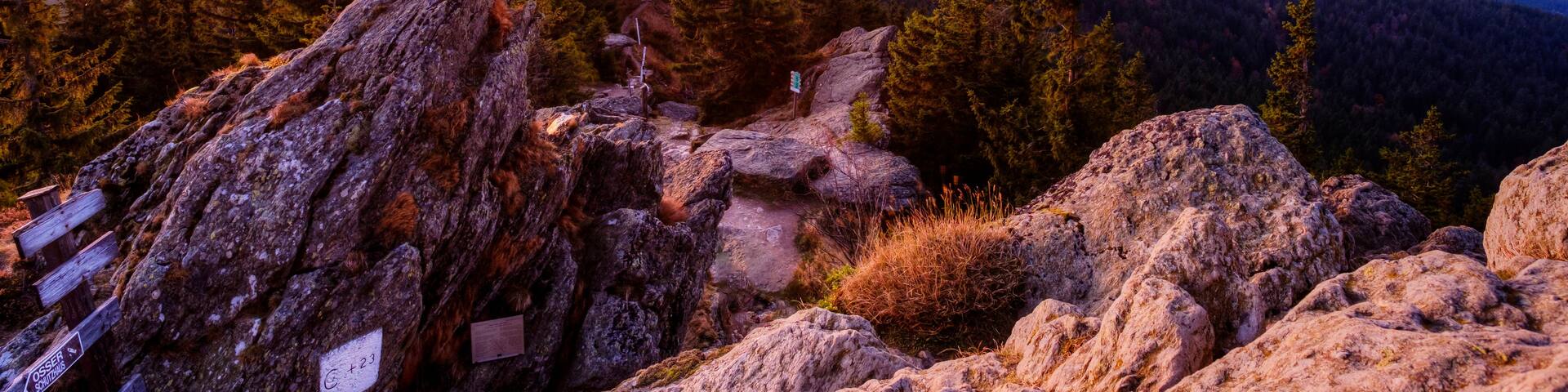 A mountainous landscape with dense forests and rocky terrain during sunset.