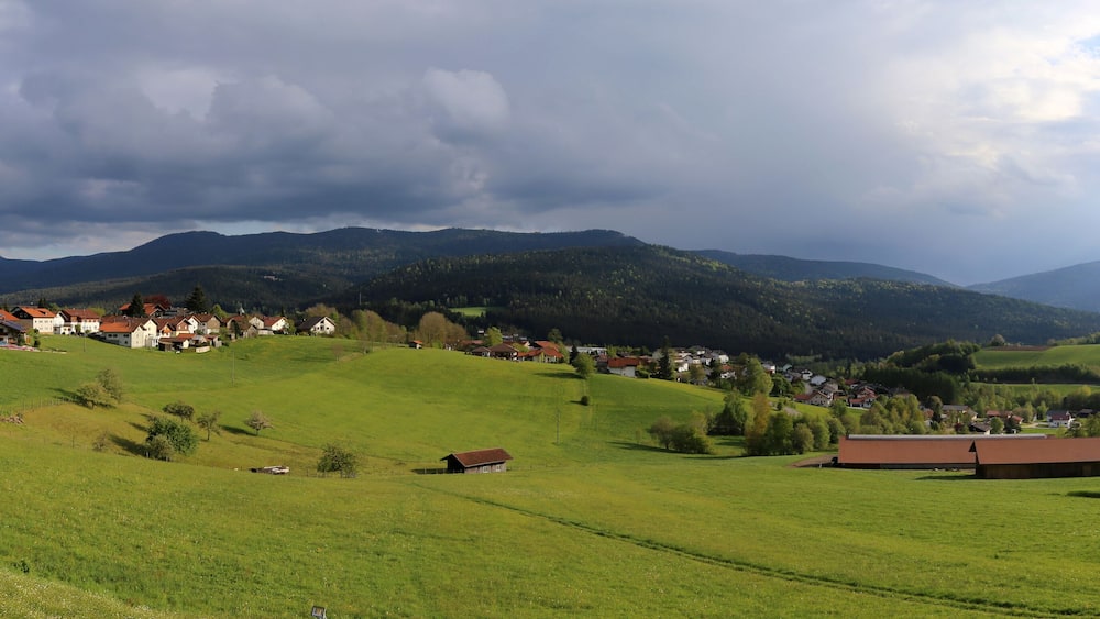 Lam im Bayerischen Wald