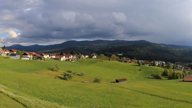 Lam im Bayerischen Wald