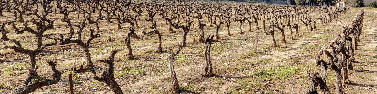 La Roque-sur-Ceze - Gard - Occitanie (France)