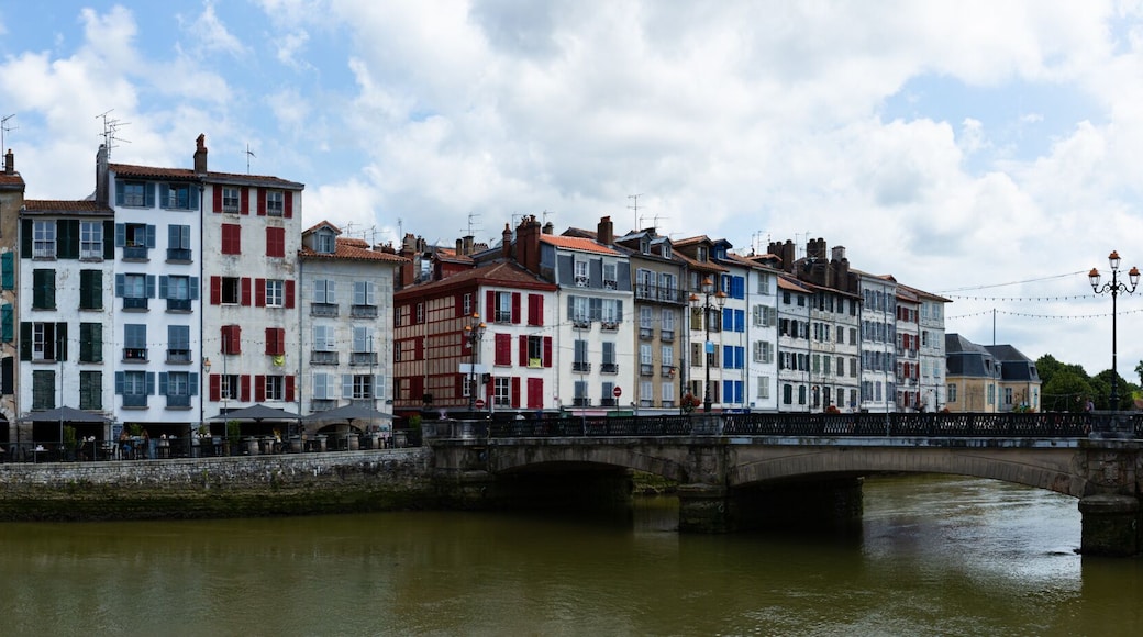 Panorama of Bayonne embankment on Nive river