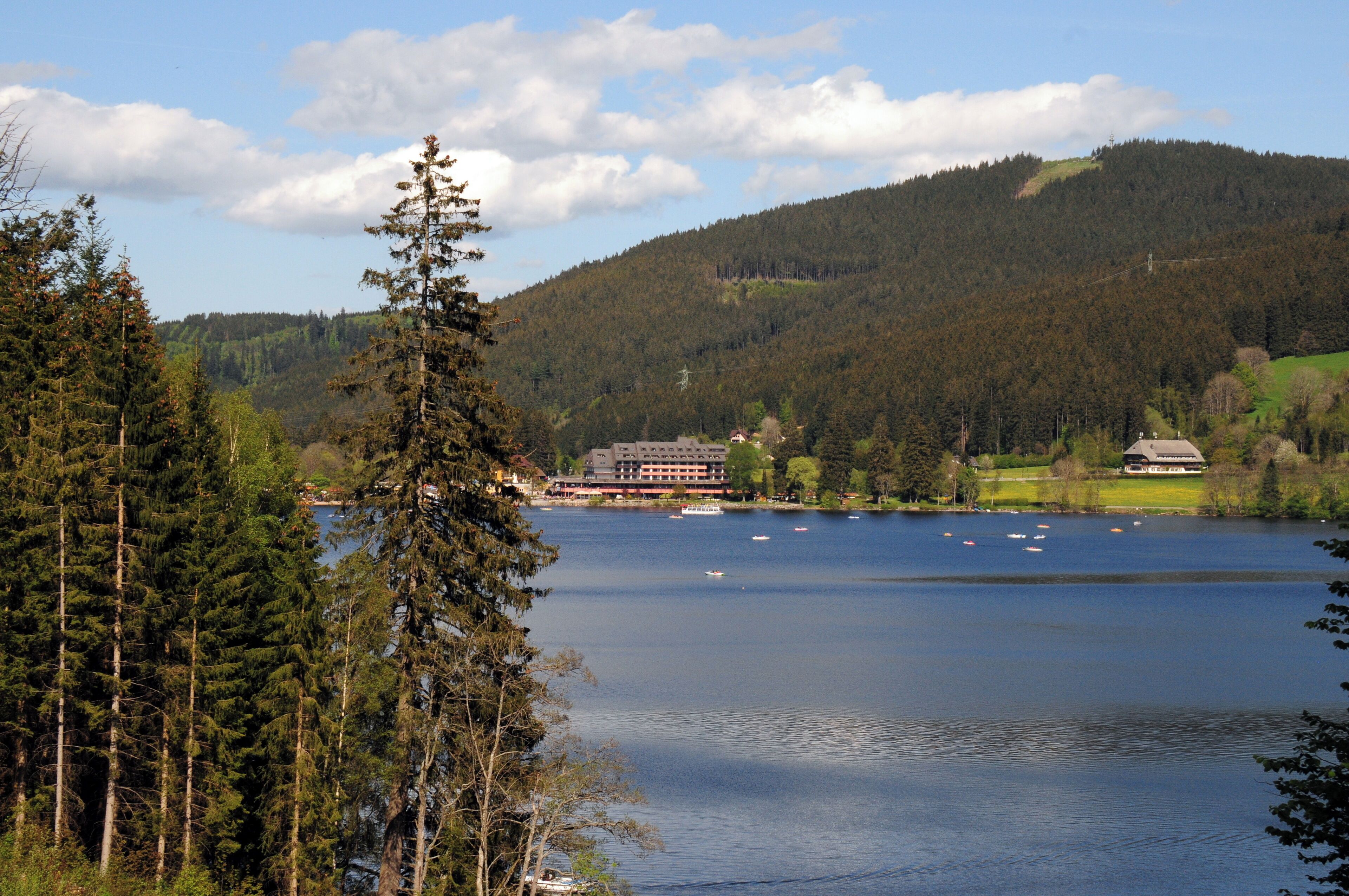 The famous lake Titisee in the Schwarzwald