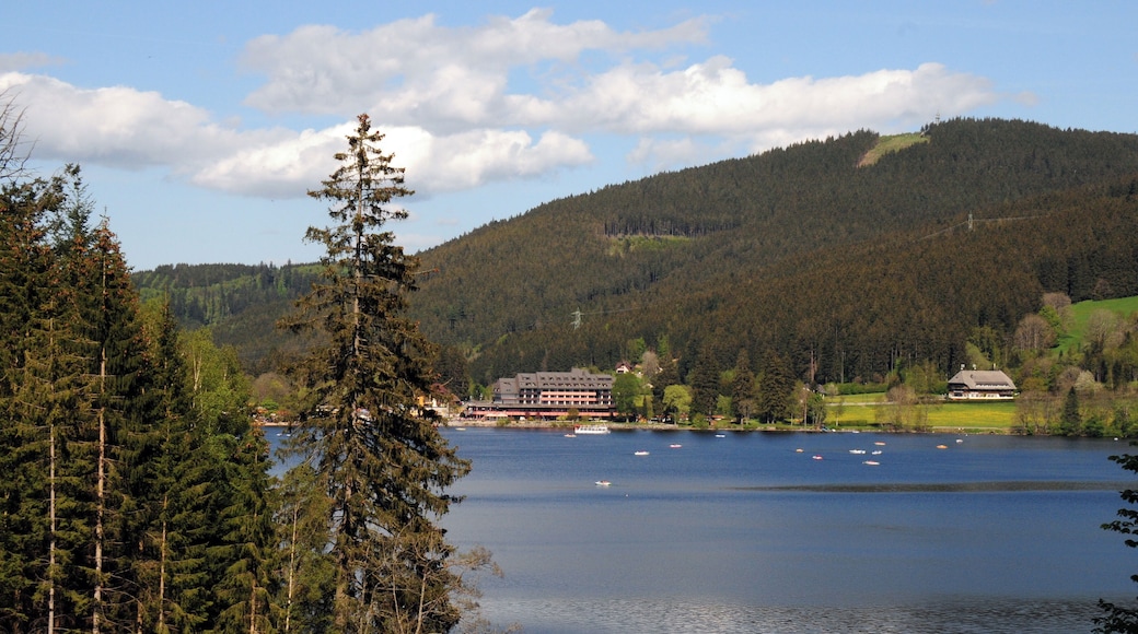 The famous lake Titisee in the Schwarzwald