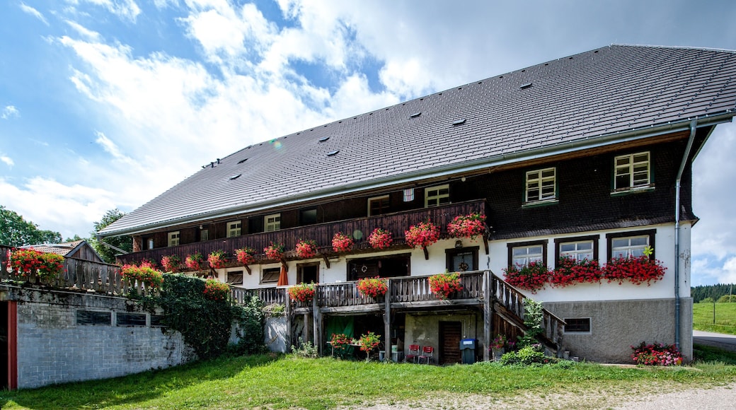 Bilder aus Hinterzarten Alte Vogtshof