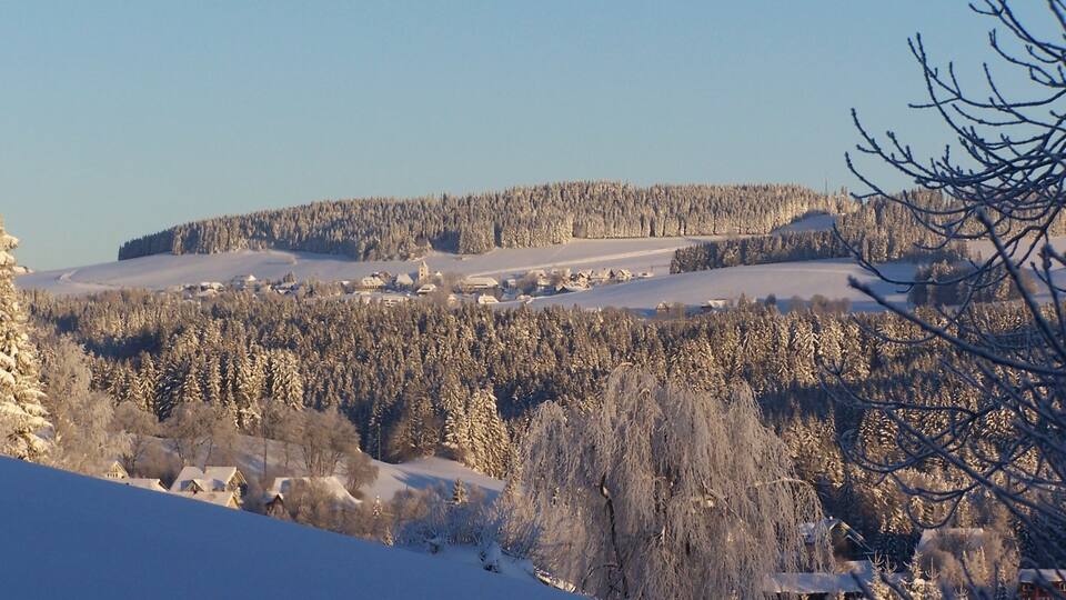 A snow-covered landscape with a village nestled among trees.