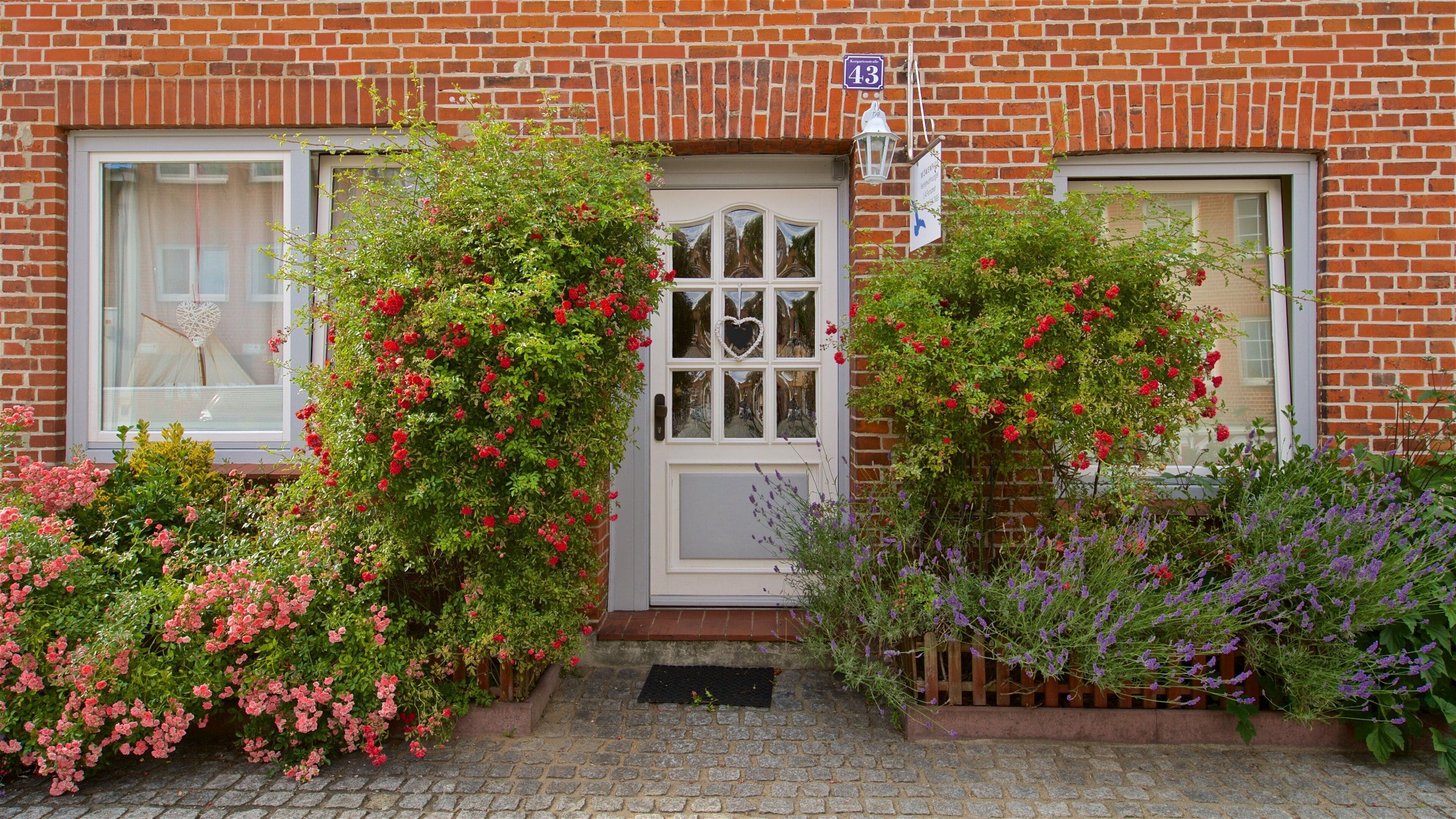 Travemuende featuring a house and wildflowers