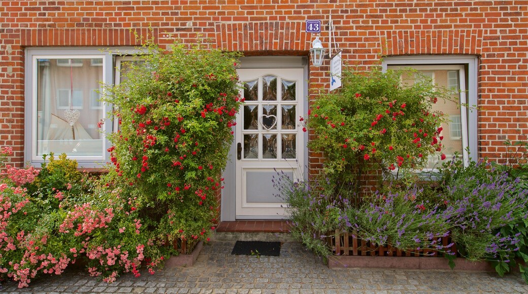 Travemuende featuring a house and wildflowers
