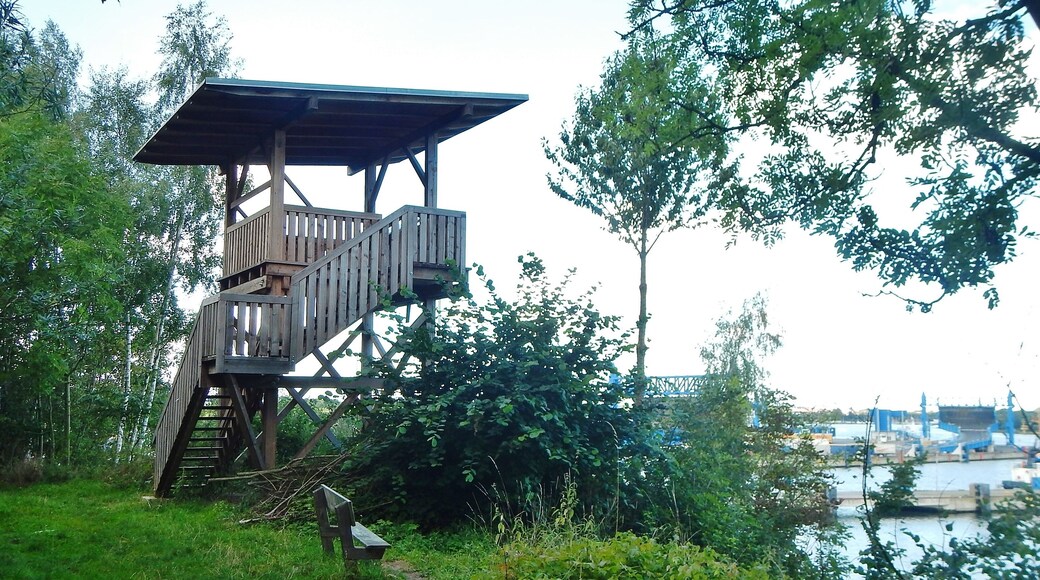 Aussichtsturm im Naturschutzgebiet Dummersdorfer Ufer