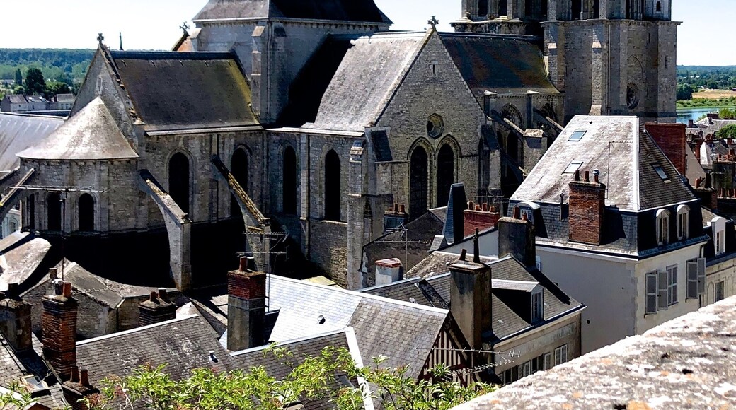 Saint-Nicolas-Saint-Laumer Church is a Romanesque Catholic church located in Blois, France. The building is classified as a historic monument by the 1840 list.
The Saint-Nicolas Saint-Laumer church is originally the abbey church of a monastery built in the 13th century. It takes the name of the founder of this abbey, Saint Laumer. Its construction began in the 13th century. The choir, transept and first bay of the nave were built from 1138 to 1186. The church was completed at the beginning of the thirteenth century.
In the Middle Ages, the church was an important place of pilgrimage. It contains several relics: Saint Lubin, Saint Laumer, Saint Mary the Egyptian and a fragment of Christ's cross.