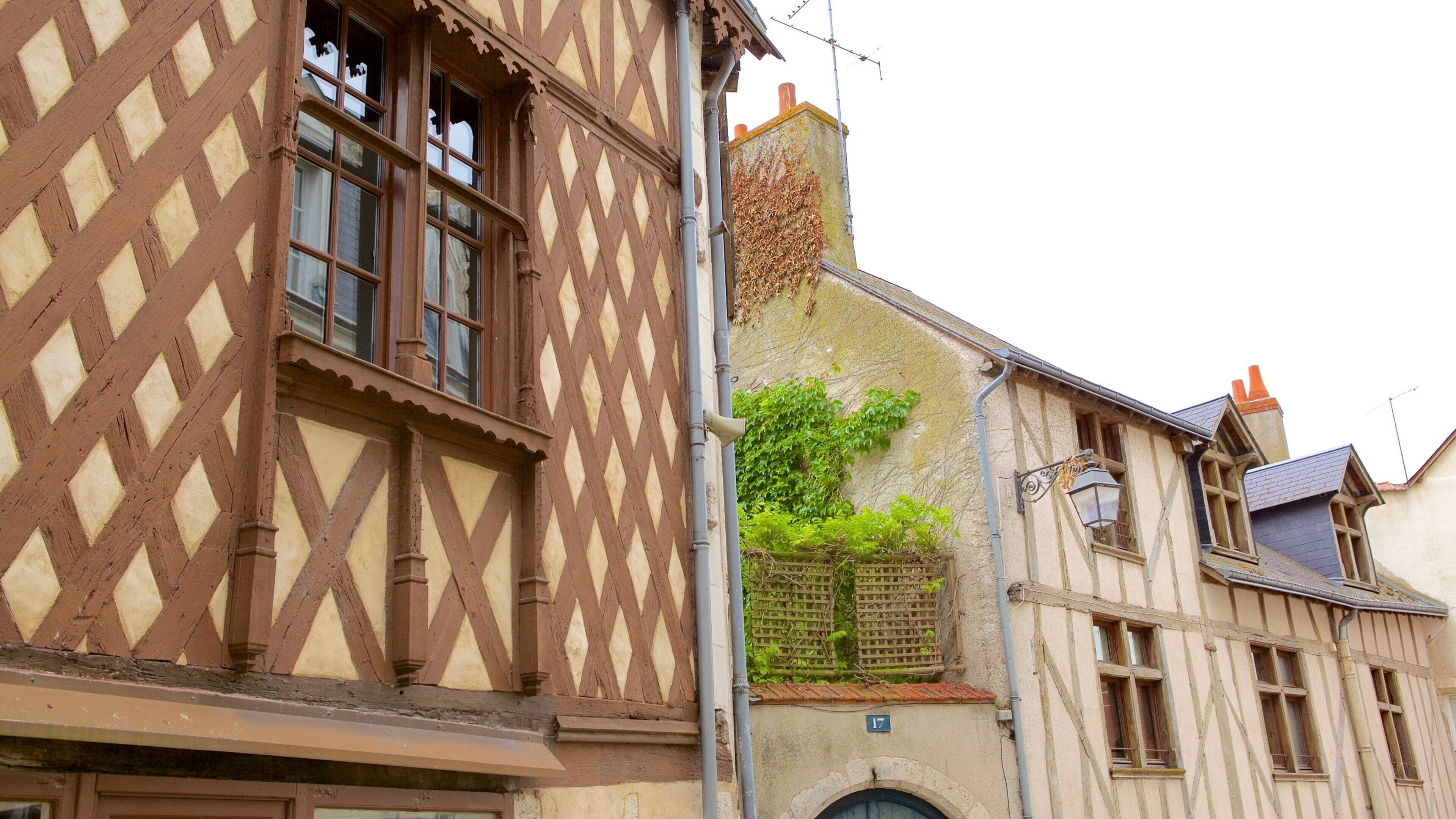 Blois ofreciendo una casa