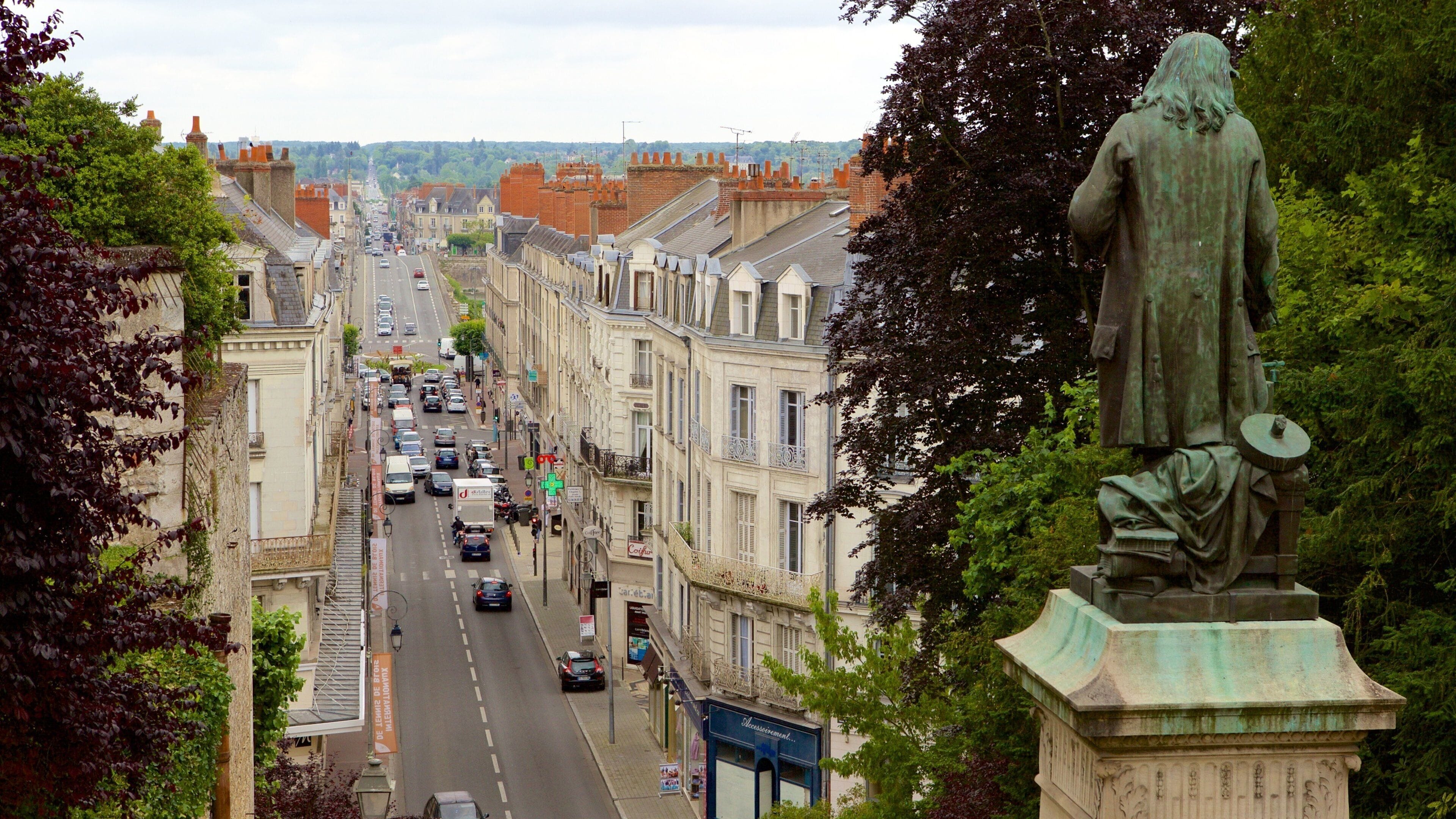 Blois mostrando una ciudad y una estatua o escultura