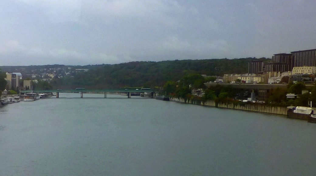 La Seine - Pont de Saint-Cloud