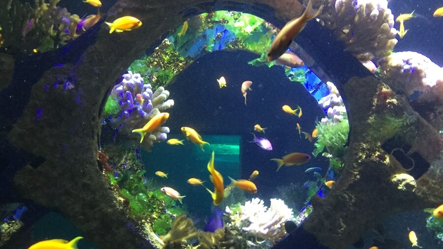 We spent there hours... A photo can‘t fix the beauty of these animals.