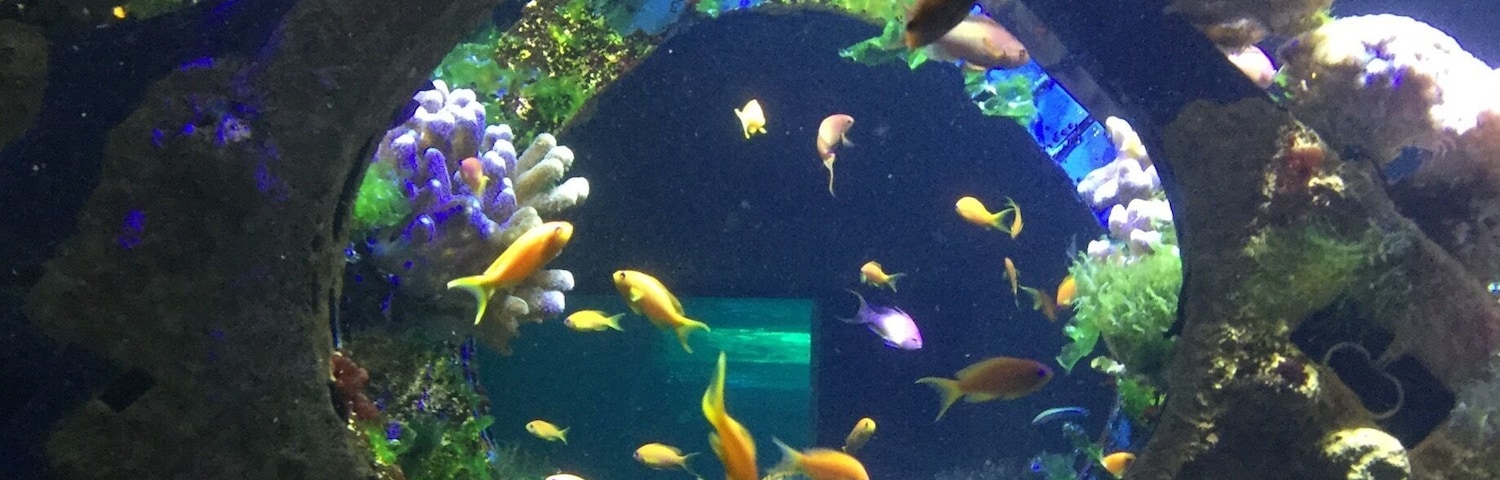 We spent there hours... A photo can‘t fix the beauty of these animals.