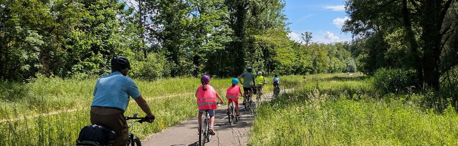 Un camino pavimentado con ciclistas, rodeado de exuberante vegetación y árboles.