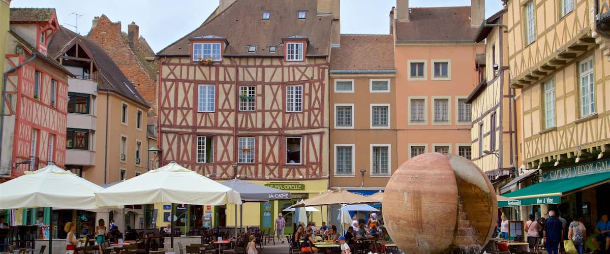 Chalon-sur-Saone featuring a city and a fountain