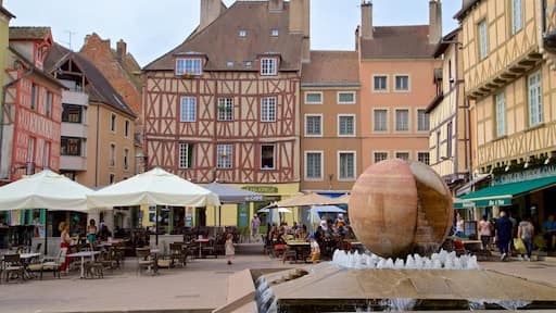 Chalon-sur-Saone featuring a city and a fountain