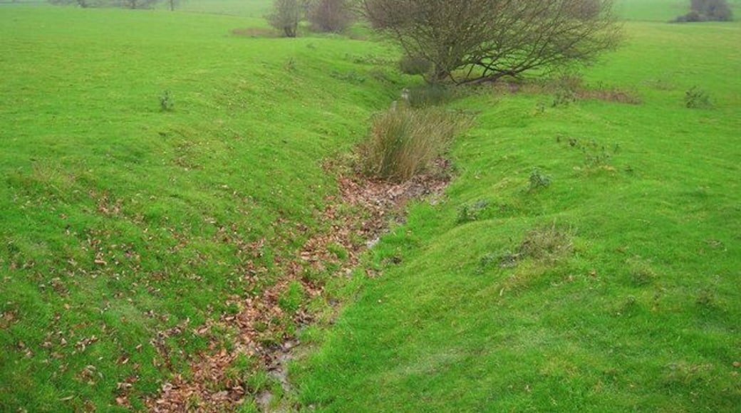Unnamed Brook, Leasams Hill Unmarked on the map too. Flowing down the west side of Leasams Hill into an arm of the Tillingham Valley.