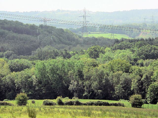 Snathurst Wood Well, the power lines have to go somewhere.