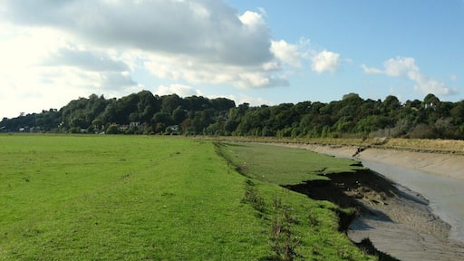 River Rother, Playden, East Sussex, UK