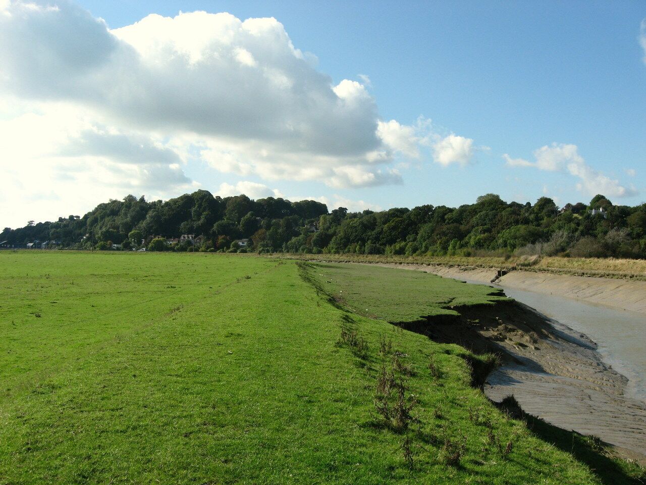 A grassy field with a muddy water channel and a forested hill in the background.